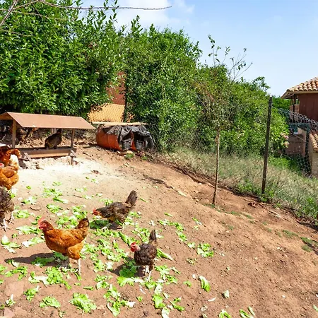 Casa Monterriundo I Y Monterriundo Ii Nyaraló